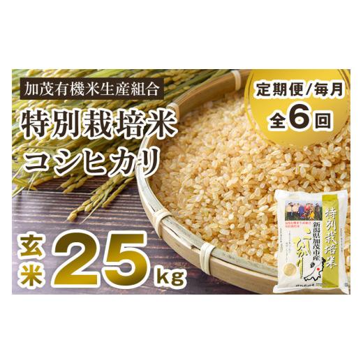 ふるさと納税 新潟県 加茂市 新潟県加茂市産 特別栽培米コシヒカリ 玄米25kg（5kg×5）従来品種コシヒカリ 加茂有機米生産組合