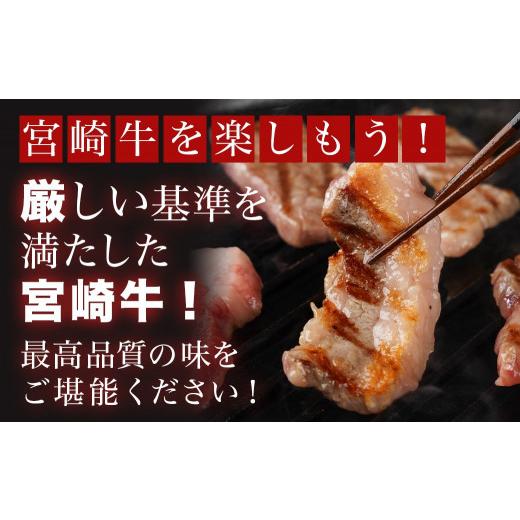 ふるさと納税 宮崎県 都城市 宮崎牛バラ焼肉1kg(真空)_17-8903_ (都城市) 牛肉 牛バラ焼肉用カット肉(500グラム×2袋) 合計1キロ 肉質等級 4等級・5等級 バラ …