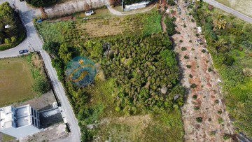 Y034財神到!員林交流道特定區增值農地｜彰化縣溪湖鎮大庭段