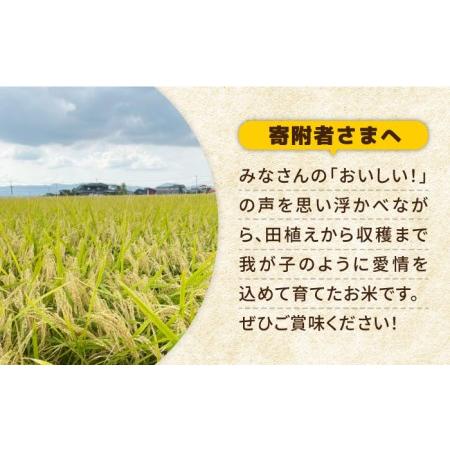 ふるさと納税 令和5年産 新米 がばいうまかエガシライス（さがびより）玄米 10kg（5kg×2袋）特A 特A評価[HAU003] 佐賀県江北町