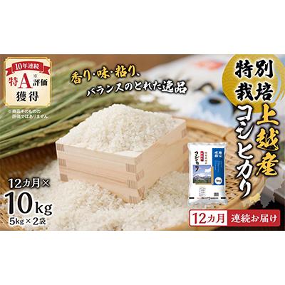 ふるさと納税 上越市 特別栽培米上越産コシヒカリ5kg×2全12回