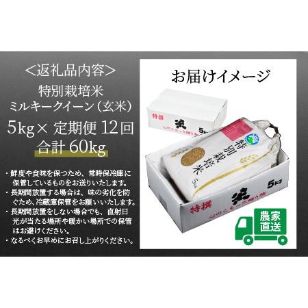 ふるさと納税 《定期便12回》 特別栽培米 ミルキークイーン 玄米  5kg （計60kg） 農薬不使用 化学肥料不使用 ／ 高品質 鮮.. 福井県あわら市