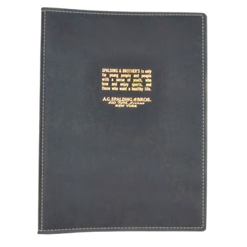 Raymay 藤井 30孔PVC製資料夾 A4  藍色  1本