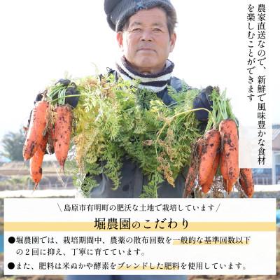 ふるさと納税 島原市  堀農園のこだわり人参 約5kg