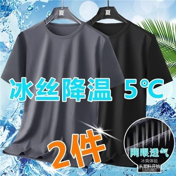 🐱 限時下殺 🐱 10XL 兩件裝 大尺碼T恤 寬鬆T恤 運動T恤 夏季冰絲網眼短袖男速幹T恤 超薄上衣寬鬆加肥 FXQ