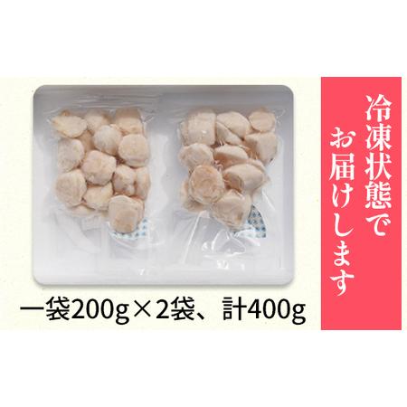 ふるさと納税 ≪年内発送 12月25日入金分まで≫北海道噴火湾湾口産 ほたて お刺身用 ほたて貝柱 400g (200g×2袋) 2年貝 事業.. 北海道鹿部町