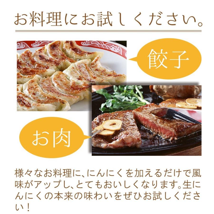 青森産 にんにく 1kg 送料無料 送料発生