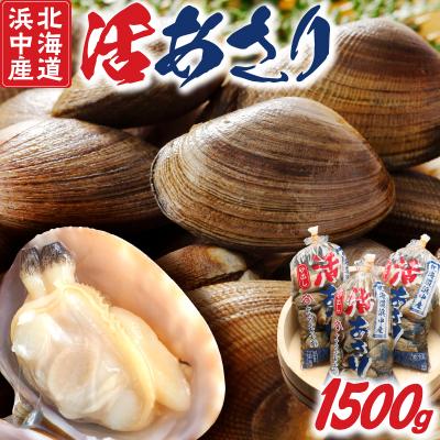 ふるさと納税 浜中町 浜中産　活アサリ500g×3袋セット