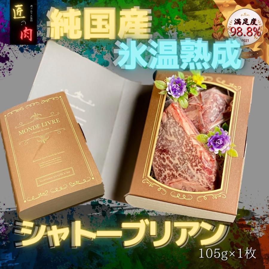 シャトーブリアン ステーキ 100g 低温熟成 国産 牛 焼肉 赤身 肉 セット お洒落 プレゼント 贈り物 book型