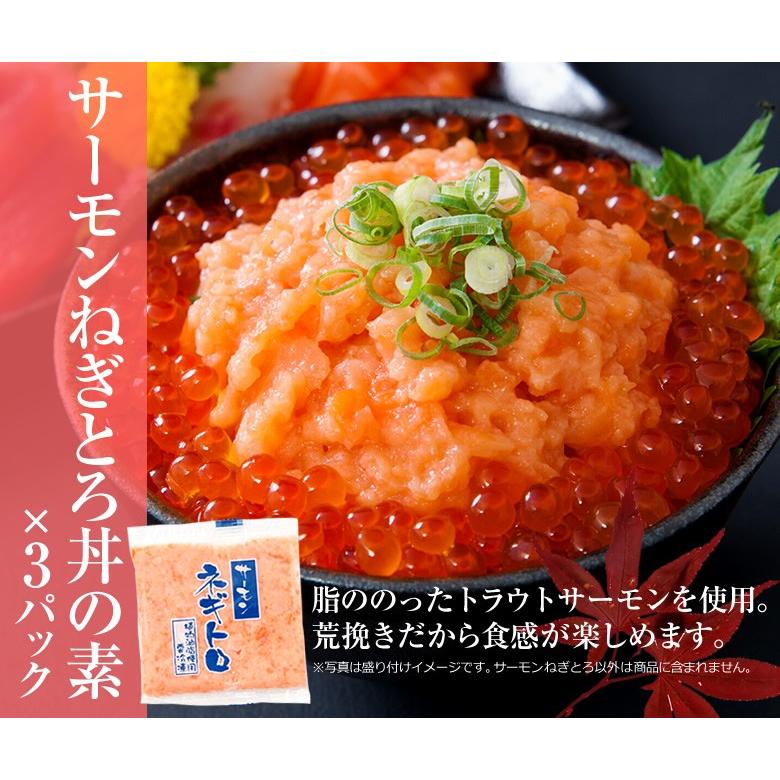 海鮮丼 詰合せ マグロ・ネギトロ・サーモンネギトロ・トロサーモン・イカサーモン 各3P 計15食 送料無料 タイムセール