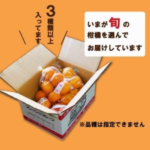 ふるさと納税 定期便 6回 季節 柑橘 みかん 詰め合わせ 第一マルエム 減農薬 はるか 御荘ゴールド みかん ジュース レモン かぶす ゆず あまか .. 愛媛県愛南町