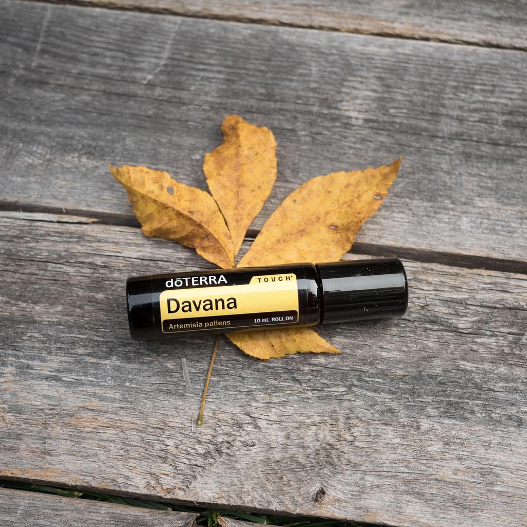 呵護系列印蒿精油davana Touch 10ml Doterra 印蒿精油具有令人愉悅的乾果香味 舊 蝦皮購物 Line購物