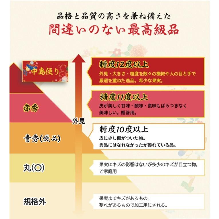 お歳暮 みかん 極旨小玉みかん 5kg×2箱 赤秀 S〜3Sサイズ JAえひめ中央 中島産 ミカン 蜜柑 ギフト