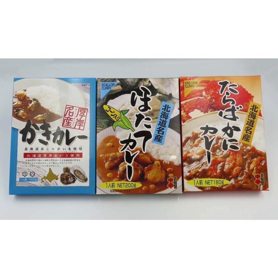 かきカレー 200g 送料無料 メール便 レトルト 中辛 お土産