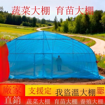 免運 公司貨 大棚 種植大棚支架全套骨架蔬菜育苗棚溫室養殖大棚一整套鋼架雞棚豬棚 可開發票 全館八折 工廠現貨直銷 新品特價 h11224