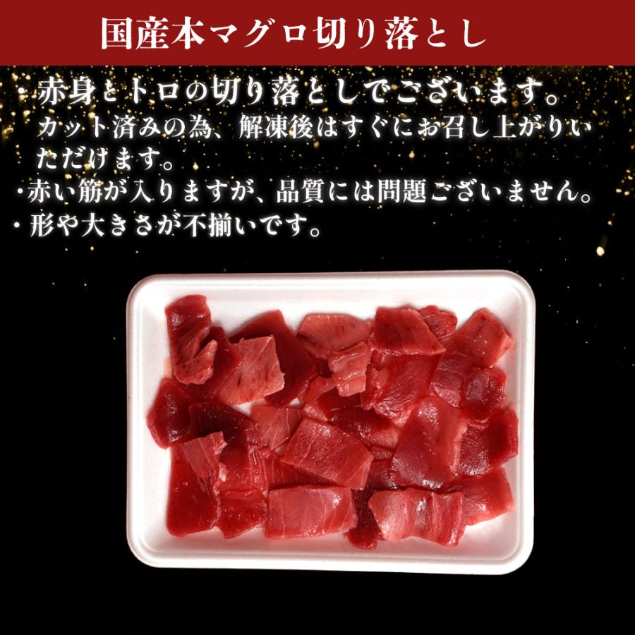 本マグロ トロ 赤身 国産 250ｇ×2パック  とろ 鮪 本まぐろ まぐろ 刺身 鮪 切り落とし 鳥取産 冷凍刺身 冷凍マグロ 送料無料