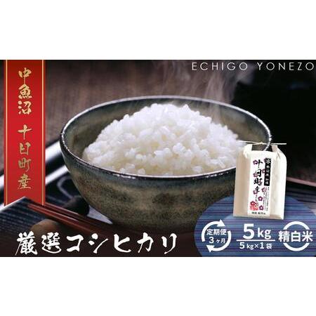 ふるさと納税 魚沼十日町コシヒカリ5kg× 3回 新潟県十日町市