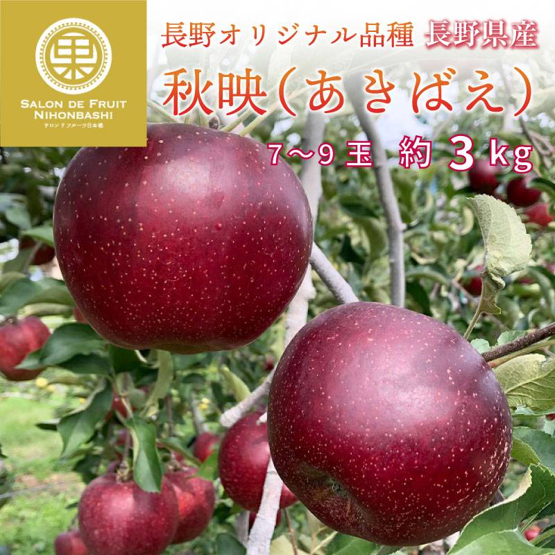 [送料無料 当日発送可] 秋映 約3kg 7-9玉 長野県産 果実専用箱 長野オリジナル品種 翌日配送 りんご あきばえ 真紅のりんご リンゴ 林檎 通販