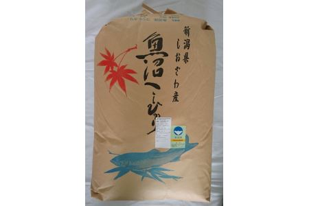 新潟県認証特別栽培米魚沼産しおざわコシヒカリ玄米30kg