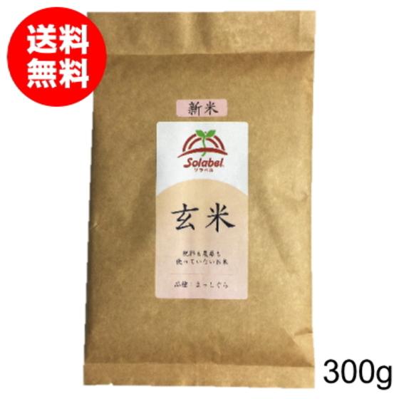 特別栽培米 玄米 300g まっしぐら 米 青森