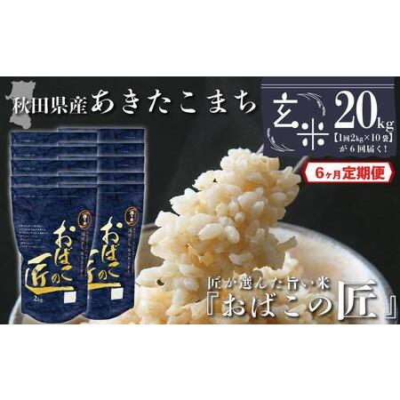 ふるさと納税 秋田県産おばこの匠あきたこまち　20kg （2kg×10袋）玄米 秋田県大仙市