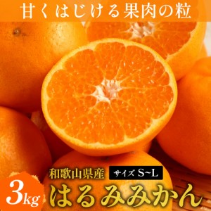 はるみみかん 3kg S～Lサイズ 一場にほとんど出回らない貴重な柑橘 和歌山 みかん 蜜柑 新鮮 ビタミン 果物