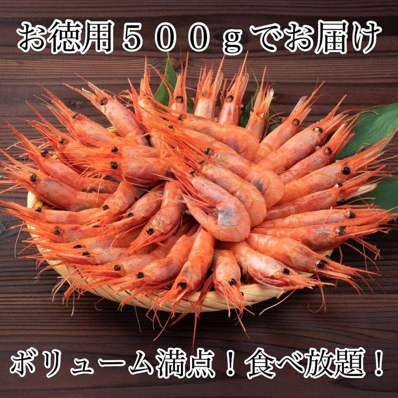 かねなかや次兵衛 ギフト 石川県産 甘えび 子持ち 500g 約35尾 刺身用 エビ 海老 えび 贈答用 自宅用 冷凍