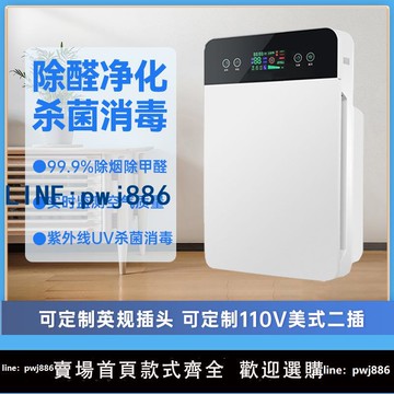 【台灣公司 可打統編】海外定制負離子空氣凈化器家用除甲醛煙味臥室殺菌消毒機110v