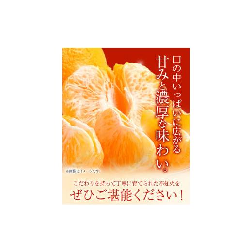 ふるさと納税 和歌山県 紀の川市 袋がけ不知火 約5kg M〜2Lサイズ不揃い 〈赤秀〉 株式会社松源《2024年4月中旬-5月上旬頃より順次出荷》和歌山県…