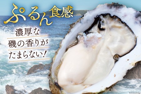  牡蠣 3～4年モノ 生食 殻付き牡蠣 約3kg(約16-18個入) [住喜水産 宮城県 気仙沼市 20562726] 期間限定 冷蔵 新鮮 濃厚 真牡蠣 カキ かき 生牡蠣 魚貝類 生牡蠣 貝 海鮮 魚介類 なべ カキフライ 牡蠣ご飯 魚介