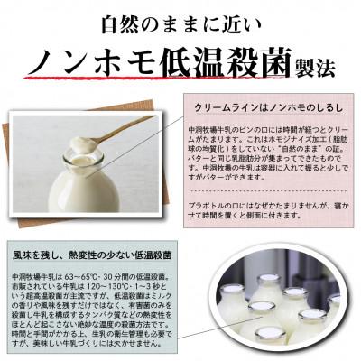 ふるさと納税 岩泉町 なかほら牧場牛乳〔500 ml〕2本セット