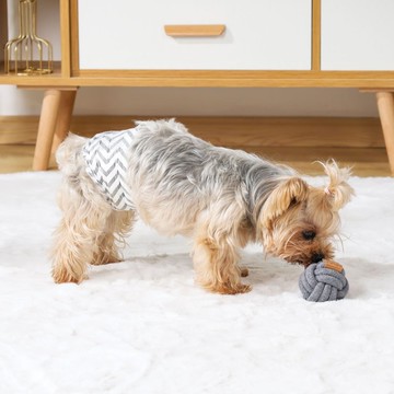 【MPETS】天然棉 ! COTO天然棉繩索玩具-天然棉潔牙球