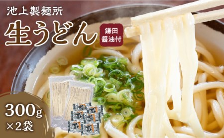 うどん 生うどん 讃岐うどん さぬきうどん　 池上製麺所　生うどん（鎌田醤油付）2袋（6人前）