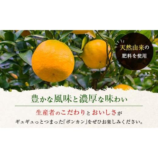 ふるさと納税 宮崎県 日南市 数量限定『日南市産ポンカン(Mサイズ)計4.5kg以上』傷み補償分200g付き　フルーツ　果物　柑橘　ぽんかん　みかん　国産 BA45-23