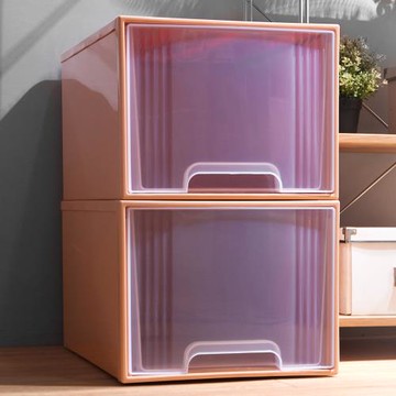 HOUSE  大桔子置物箱65L (2入)