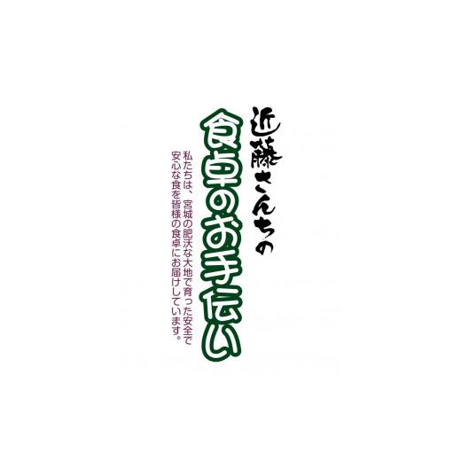 ふるさと納税 宮城県 登米市 宮城県登米市産ササニシキ精米20kg