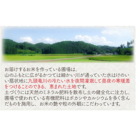 ふるさと納税 福井県 坂井市 福井県坂井市丸岡町産 コシヒカリ5kg×12回 計60kg（無洗米）  [I-11301_01]