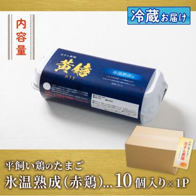 ふるさと納税 佐伯市 平飼い赤鶏のたまご 黄嬉 (計10個) 元さん農園