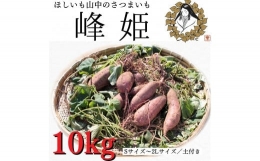 さつまいも「峰姫」10kg（S～2Lサイズ）土付き