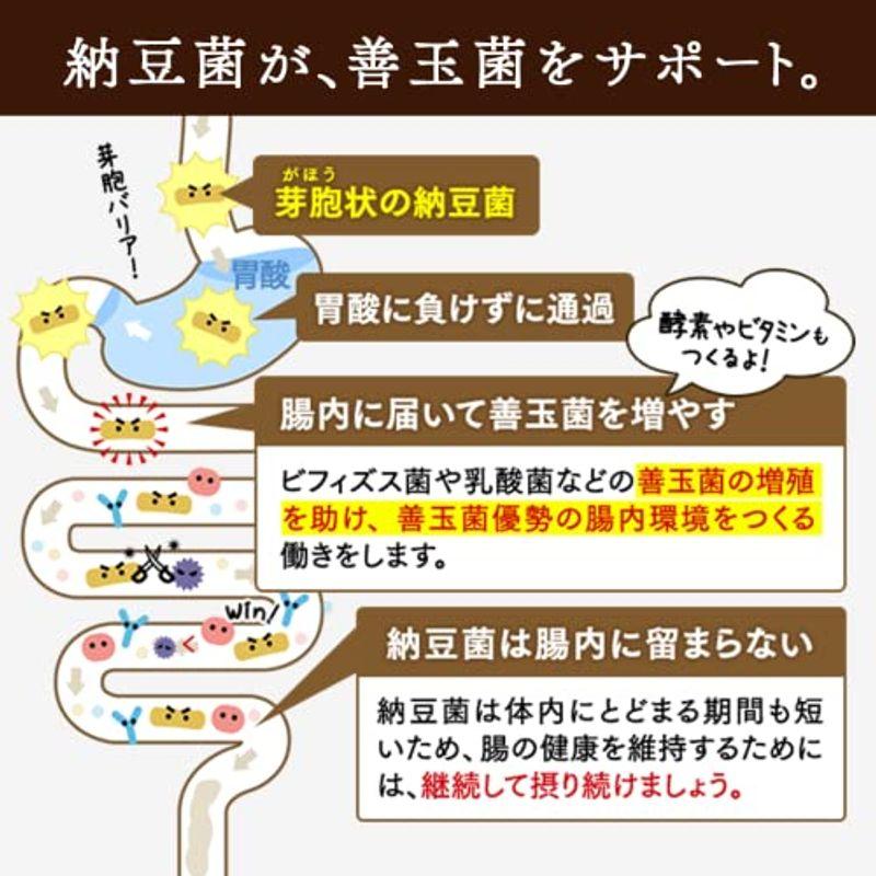 こな納豆   通常納豆菌が生きているひとさじでバランス栄養食に 粉納豆（国産 納豆粉末100%・完全無添加 納豆パウダー） (50g)