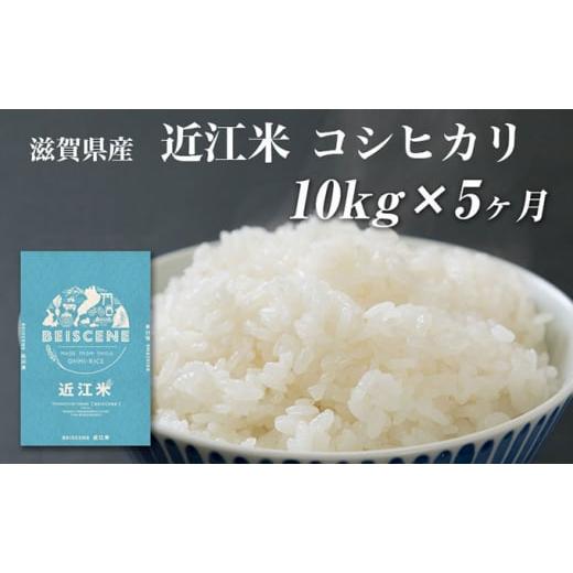 ふるさと納税 滋賀県 豊郷町 令和5年産新米　滋賀県豊郷町産　近江米 コシヒカリ　10kg×5ヶ月