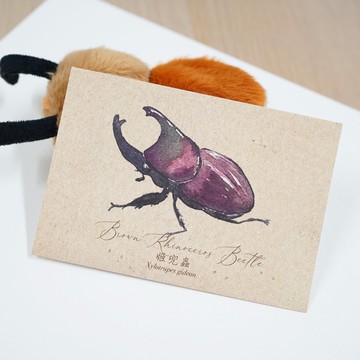 【甲蟲先生 - 姬兜蟲】水彩插畫 明信片 昆蟲 自然