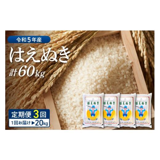 ふるさと納税 山形県 河北町 ※2024年1月前半スタート※はえぬき 60kg定期便（20kg×3回）山形県産