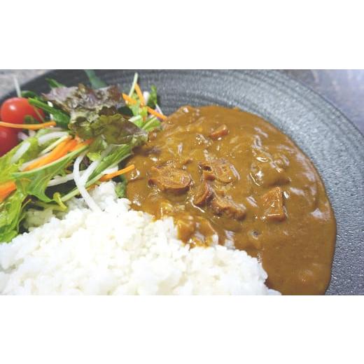 ふるさと納税 北海道 天塩町 いつでも手軽に「たこカレー」５個セット