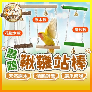 【小寵王國】鸚鵡鞦韆站棒 鸚鵡站棍 鸚鵡站架 鸚鵡站杆鞦韆 實木玩具 鳥籠配件 磨砂鞦韆 花椒木鞦韆 掛式玩具 寵物用品
