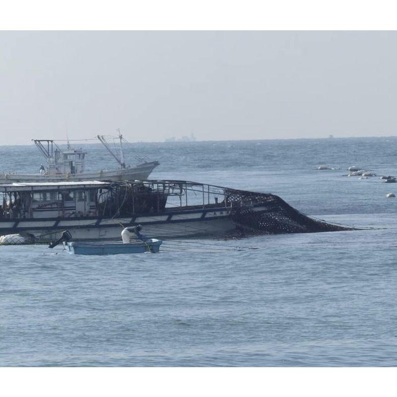 鍵庄 明石海苔 明石の恵み 一番摘み明石のり 味のり 80枚×6本セット ボール箱入り