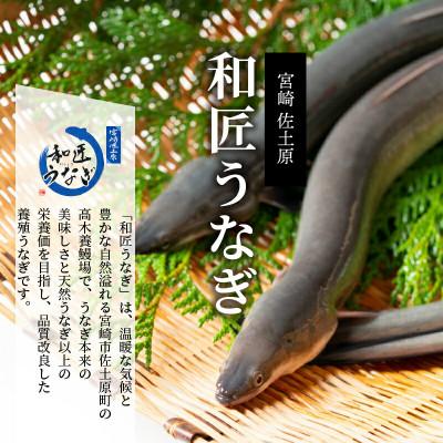 ふるさと納税 宮崎市 備長炭手焼き 和匠うなぎの蒲焼き2尾 白焼2尾　計4尾セット