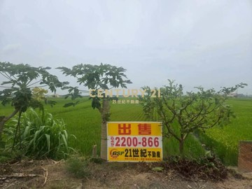 彰化土地-埤頭大路邊794坪持分農地｜彰化縣埤頭鄉振興段