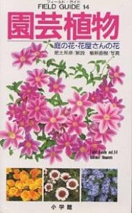 園芸植物 庭の花・花屋さんの花 肥土邦彦