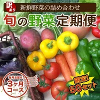 訳あり 定期便 旬な野菜のお楽しみ詰め合わせセット 産地直送 トマト 人参 タマネギ ブロッコリー ほうれん草 白菜 キャベツ レタス 大根 サツマイモ オクラ ししとう にんにく なす キャベツ 里芋 サツマイモ 高知県 須崎市